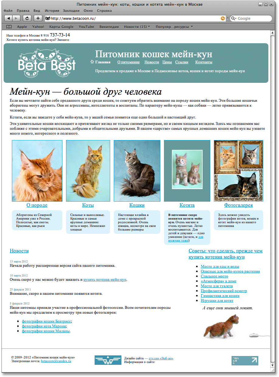 На главной странице сайта питомника наглядно представлены коты, кошки и котята мейн-кун